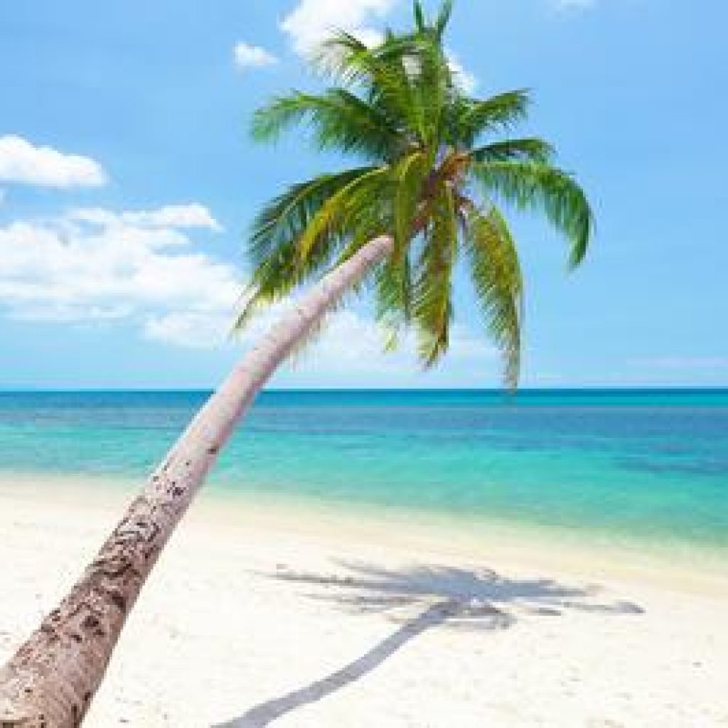 Androth Island, Book Androth Island packages, Lakshadweep, Gol Travels, Golakshadweep, Book Best Lakshadweep Packages from india, Book Lakshadweep Packages, Gol tours & travels kochi, Lakshadweep Islands